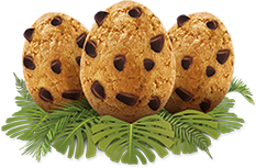 Cookie of Dinosaurus Eggs